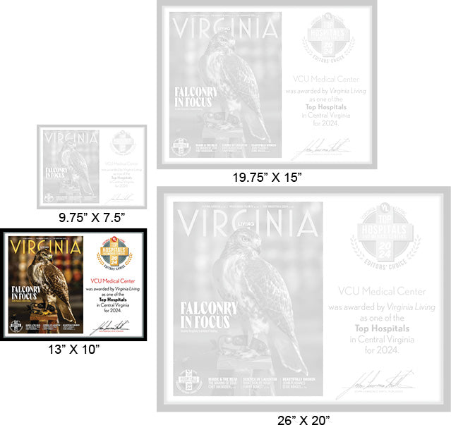 Official Top Hospitals 2024 Winner's Plaque, M (13" x 10")