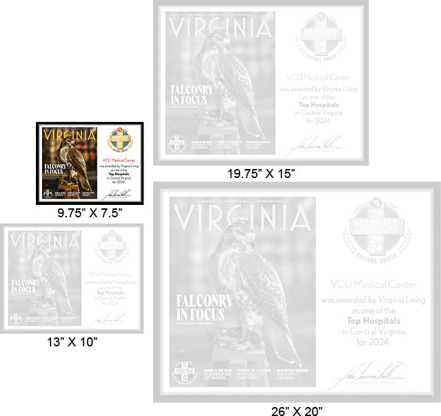 Official Top Hospitals 2024 Winner's Plaque, S (9.75" x 7.5")